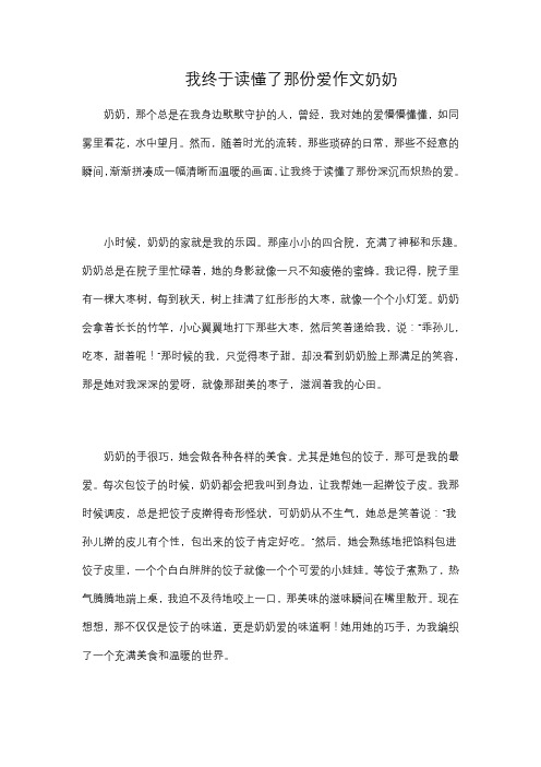 我终于读懂了那份爱作文奶奶