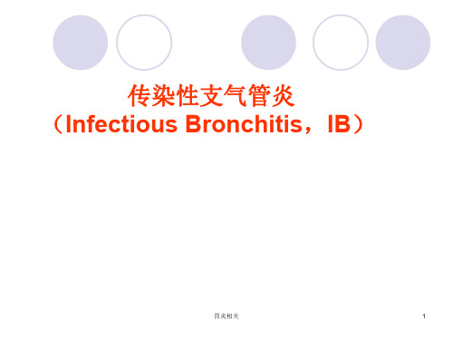 IB(传染性支气管炎)(炎症)