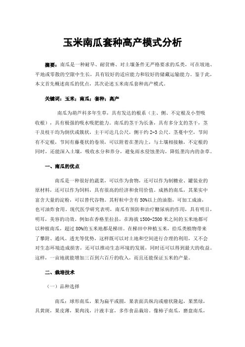 玉米南瓜套种高产模式分析