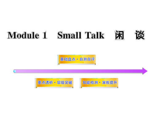 2012版高中英语全程复习方略配套课件：Module1《Small Talk》(外研版选修6)