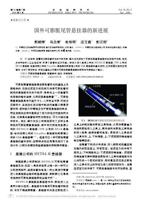 国外可膨胀尾管悬挂器的新进展