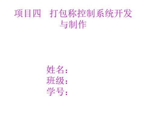 打包称控制系统开发与制作1