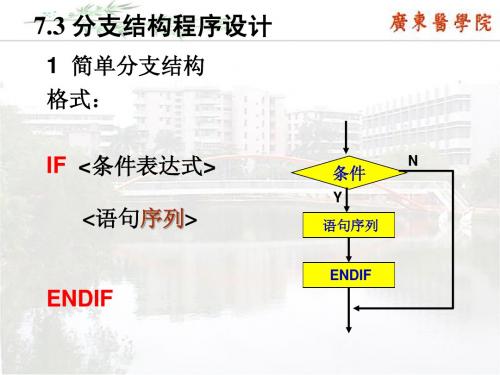 11 Visual Foxpro中的表单和分支循环结构