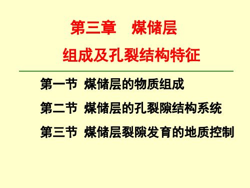 3 煤储层组成及孔裂结构特征精品资料