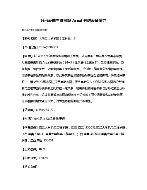 分形表面三维形貌Areal参数表征研究