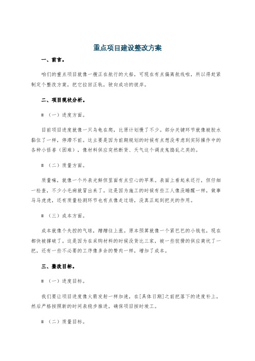 重点项目建设整改方案