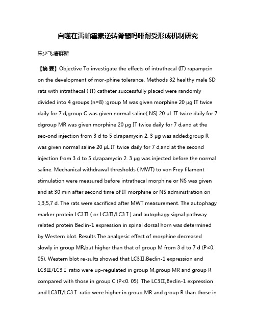 自噬在雷帕霉素逆转脊髓吗啡耐受形成机制研究