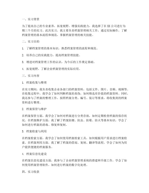 进档案的实习报告总结