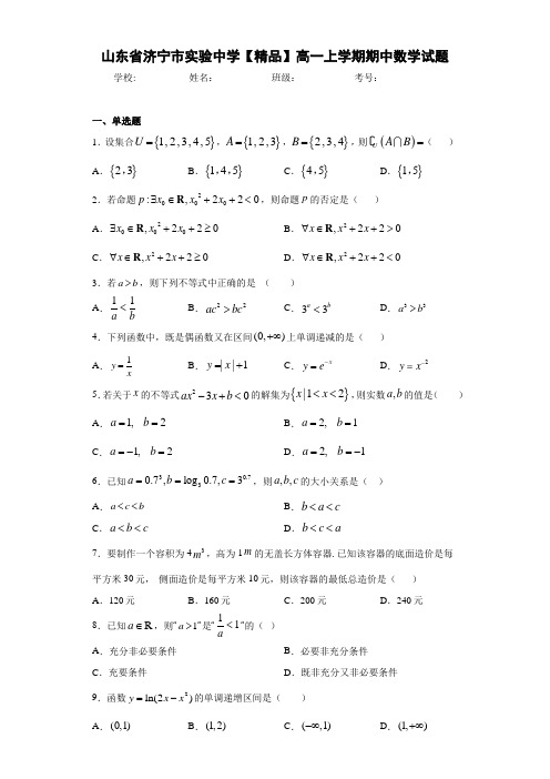 高中山东省济宁市实验中学高一上学期期中数学试题