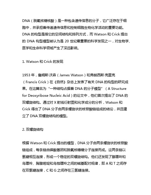 watson和crick提出的dna 构型