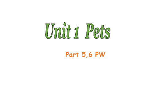 外研版英语三年级下册Unit1-PetsPart 5,6,PW课件