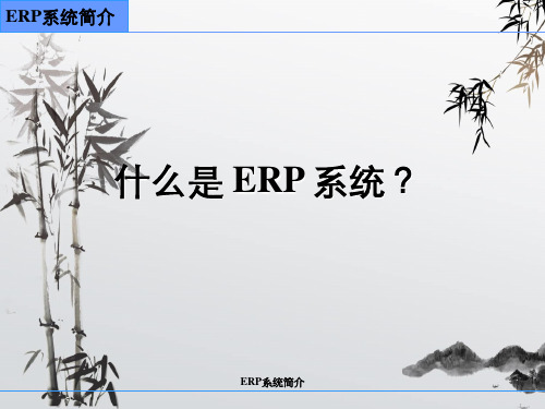 ERP系统简介