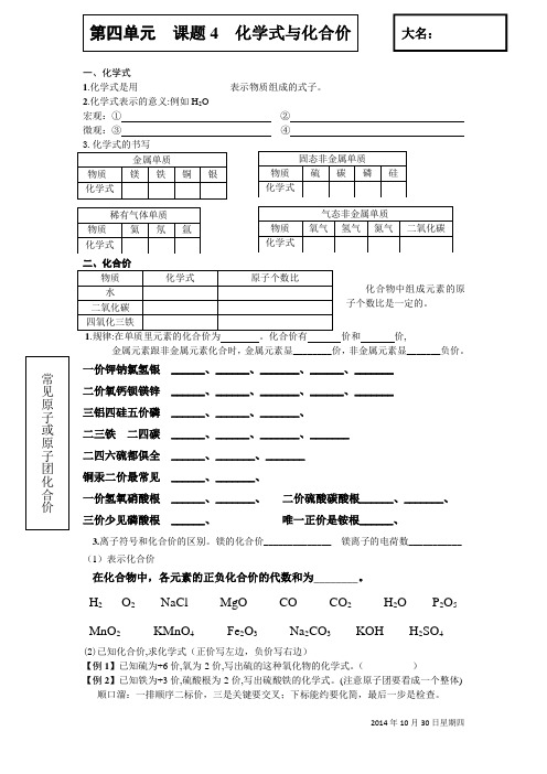 初中化学 化学式和化学价 学案