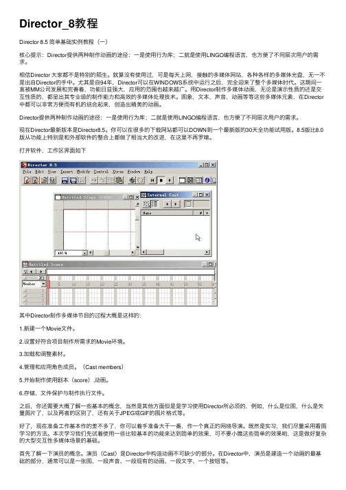 Director_8教程