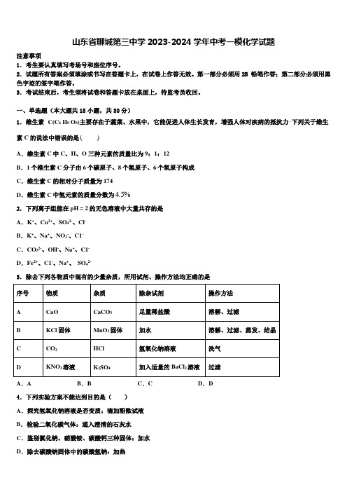 山东省聊城第三中学2023-2024学年中考一模化学试题含解析