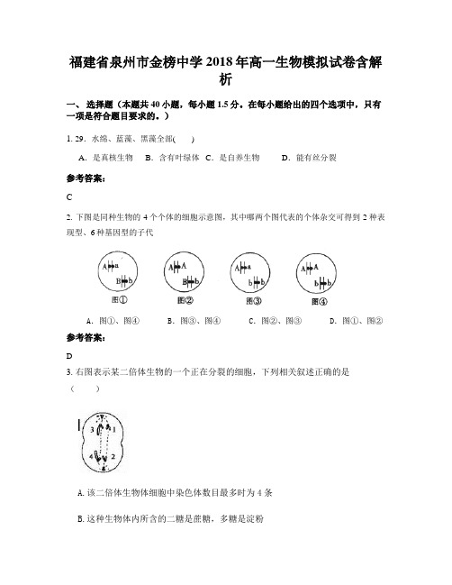 福建省泉州市金榜中学2018年高一生物模拟试卷含解析