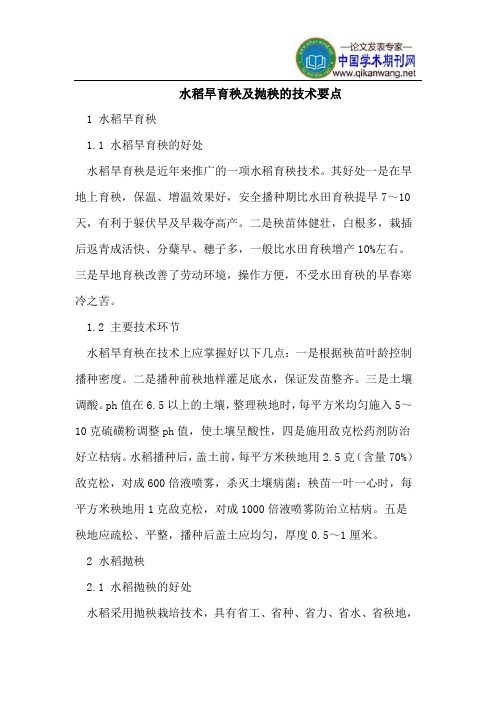 水稻旱育秧及抛秧的技术要点