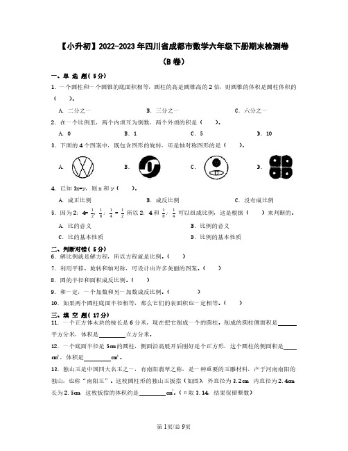 【小升初】2022-2023学年四川省成都市数学六年级下册期末检测卷(B卷)含解析