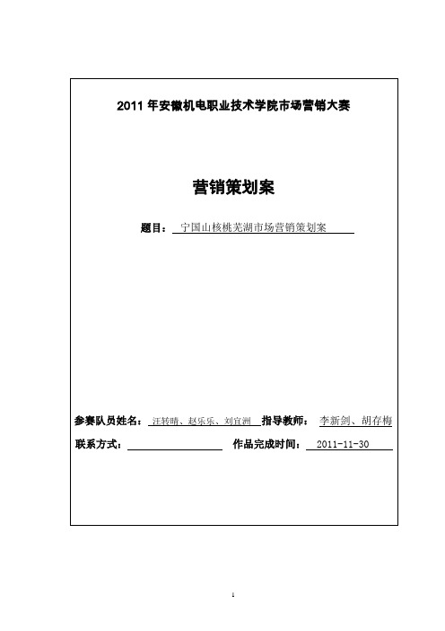 坚果类营销策划