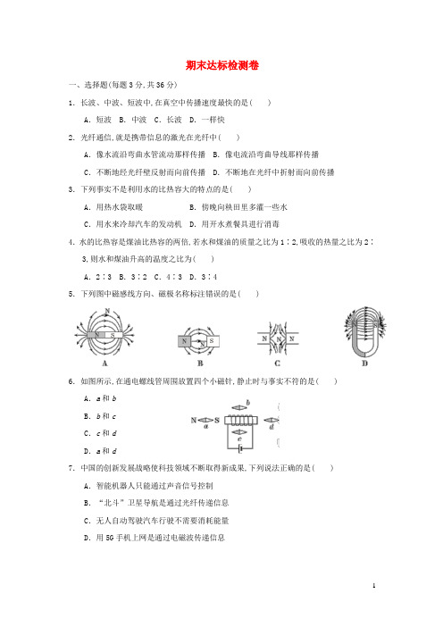 九年级物理下学期期末达标检测卷鲁科版五四制