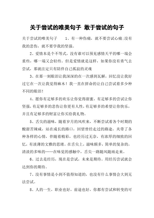 关于尝试的唯美句子 敢于尝试的句子