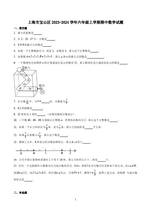 上海市宝山区2023-2024学年六年级上学期期中数学试题