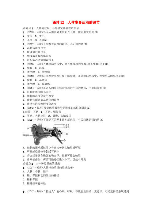 厦门市2019届中考生物教材考点梳理附答案第12课时人体生命活动的调节