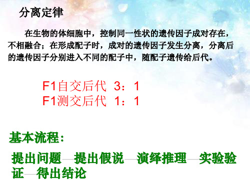 《孟德尔的豌豆杂交实验(二)》人教版高中生物教学课件1