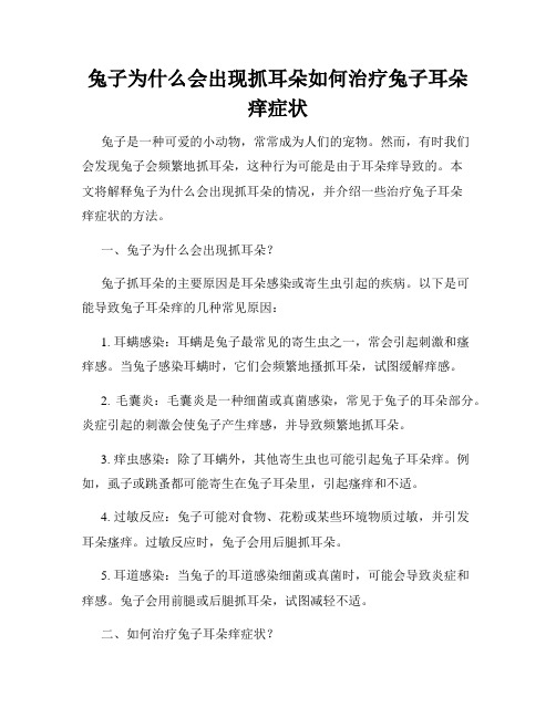 兔子为什么会出现抓耳朵如何治疗兔子耳朵痒症状