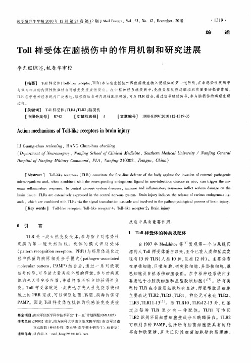 Toll样受体在脑损伤中的作用机制和研究进展