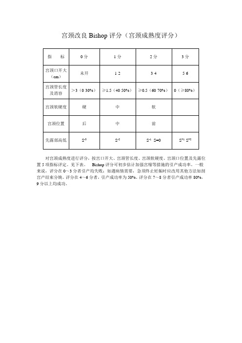 宫颈改良Bishop评分