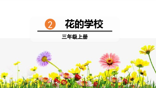 《花的学校》PPT优质课件