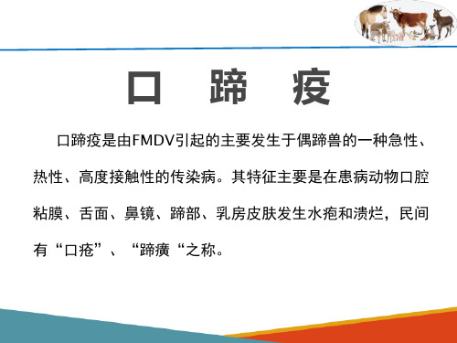 牛的消化器官疾病—口腔疾病(牛病防治技术课件)