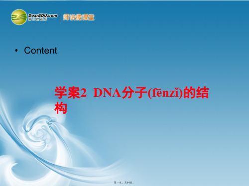 高考生物一轮复习 3.2 DNA分子的结构课件 新人教版必修2