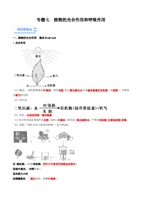 专题07 植物的光合作用和呼吸作用-备战2024年中考生物一轮复习抓重点考典型(原卷版)