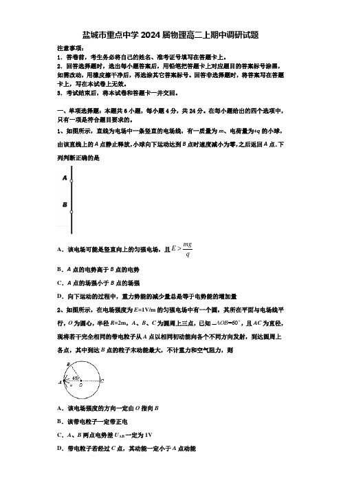 盐城市重点中学2024届物理高二上期中调研试题含解析