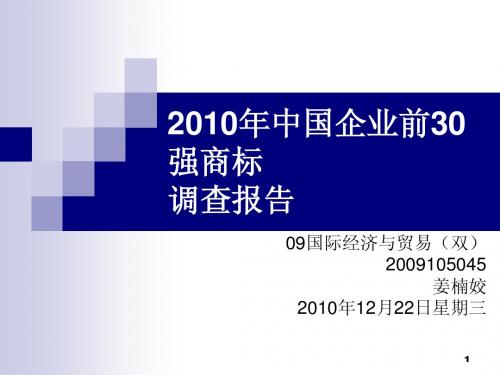 20102010年中国企业前30强商标