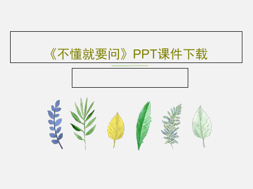 《不懂就要问》PPT课件下载共28页