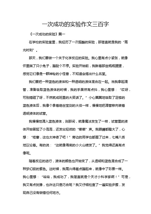 一次成功的实验作文三百字