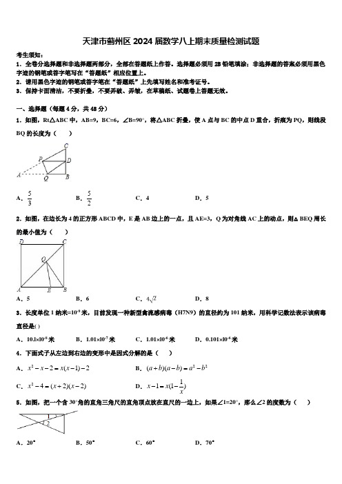 天津市蓟州区2024届数学八上期末质量检测试题含解析