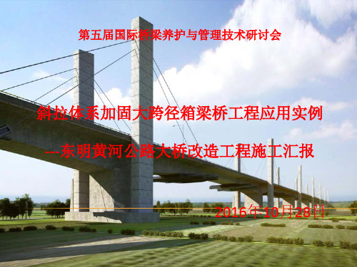 17杨永成第五届桥梁养护会(东明黄河大桥)10.24