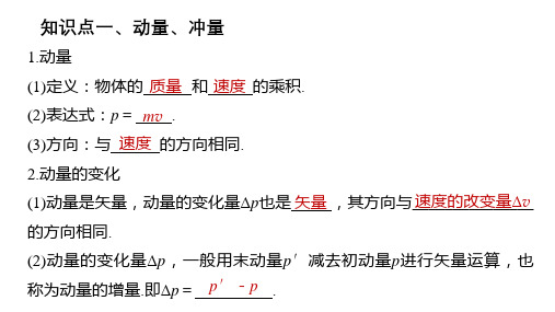 动量 冲量复习(课件)高二物理(沪科版2020上海选择性必修第一册)