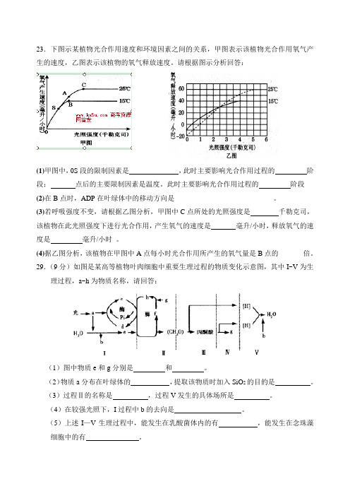 光合作用专题(附答案)