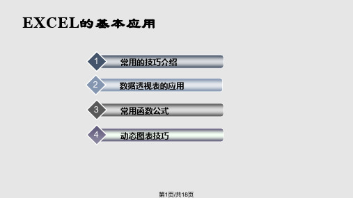 Excel的基本应用PPT课件