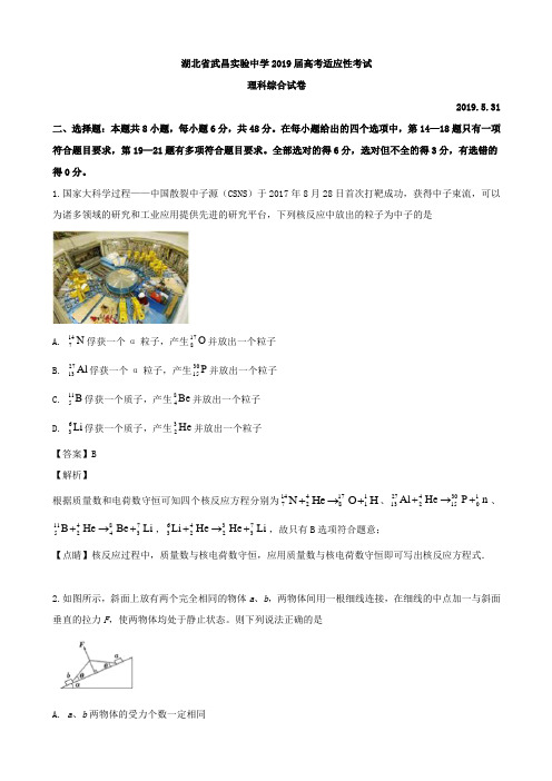 2019届湖北省武昌实验高三5月模拟理综物理试题