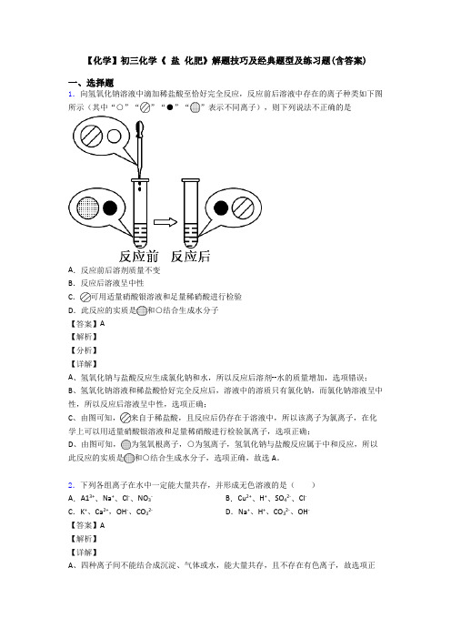 【化学】初三化学《 盐 化肥》解题技巧及经典题型及练习题(含答案)