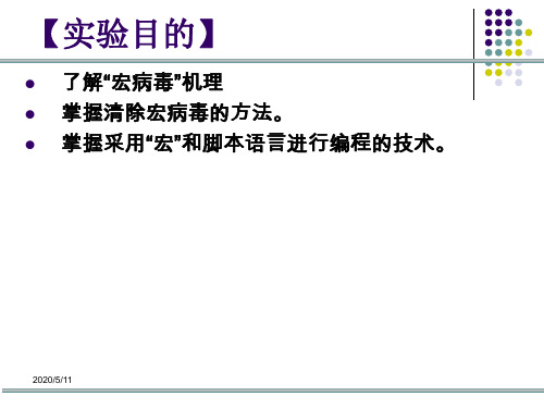 【大学】实验 病毒分析及清除实验 课件