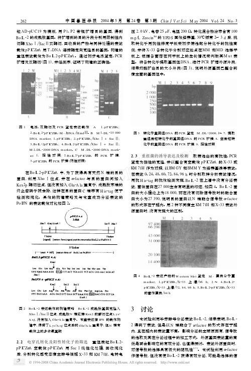 毕赤酵母_Pichiapastoris_分泌表达牛白细胞介素2