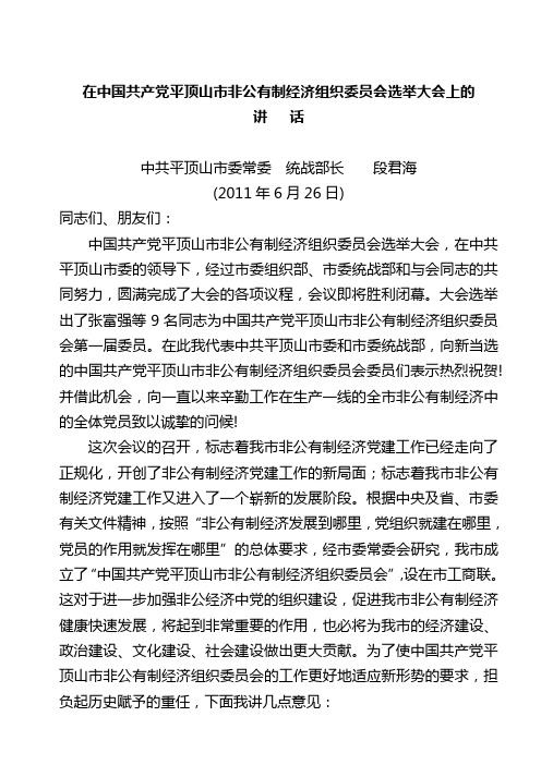 段部长在市非公经济党委选举大会上的讲话