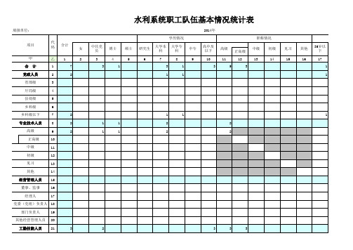 水利系统职工队伍基本情况统计表